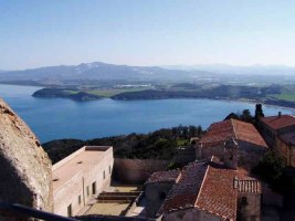 Populonia